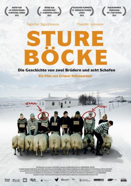 Sture Böcke. Die Brüder Gummi (gesprochen „Gümmi“) und Kiddi leben als Nachbarn in einem abgeschiedenen Tal in Island von der Schafzucht. Seit 40 Jahren sind sie zerstritten und haben kein Wort miteinander geredet, doch beide führen die traditionsreiche Schafzucht ihres Vaters fort.  Gummi vermutet, dass eines von Kiddis Tieren an Scrapie erkrankt ist. Das Veterinäramt bestätigt das und ordnet an, alle Schafe des Tales zu keulen. Gummi fügt sich wie alle anderen Schäfer, präsentiert dem Veterinäramt die Kadaver seiner Herde und gibt an, dass er sie lieber selbst töten wollte. Kiddi dagegen widersetzt sich stur und wirft Gummi sogar vor, an der Seuche schuld zu sein. Da das von Kiddi genutzte Land rechtlich Gummis Eigentum ist, ist er für seinen Bruder verantwortlich und erzwingt das Einhalten der Maßnahmen.  Gummi hat insgeheim neun seiner besten Tiere, acht Mutterschafe und einen Bock, im Keller des Wohnhauses versteckt, um mit ihnen die Zucht weiterzuführen.  Mitten im Winter bekommt ein Mitarbeiter des Veterinäramts zufällig Wind davon. Da eine Hausdurchsuchung zu erwarten ist, muss Gummi sich nun mit Kiddi zusammentun, um die Schafe zu retten. Der Versuch, die Tiere bei Kiddi zu verstecken, schlägt fehl, und sie treiben die Schafe hoch ins Gebirge, wo sie überwintern können. Dort geraten sie in einen Schneesturm und werden getrennt. Als Kiddi den bewusstlosen Gummi auffindet, gräbt er für sie beide eine Schneehöhle und nimmt seinen Bruder in die Arme, um ihn zu wärmen. Damit endet der Film. FSK: 6, 93 Min., Island 2015, Regie: Grímur Hákonarson.